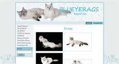 Desktop Screenshot of blueyerags.com