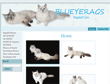 Tablet Screenshot of blueyerags.com